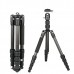 Cavix PO-225B0C + MT-02 Штатив Карбоновый 