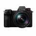 Panasonic DC-S1 + 24-105mm f/4 Macro OIS