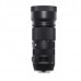 Sigma 100-400mm f/5-6.3 DG OS HSM
