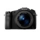 Sony DSC-RX10 