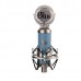 Blue Bluebird Microphone