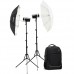 Godox AD300pro 2-Flash Kit